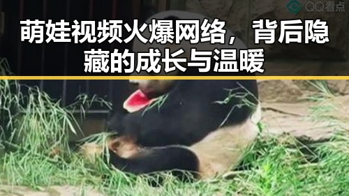 萌娃视频火爆网络，背后隐藏的成长与温暖
